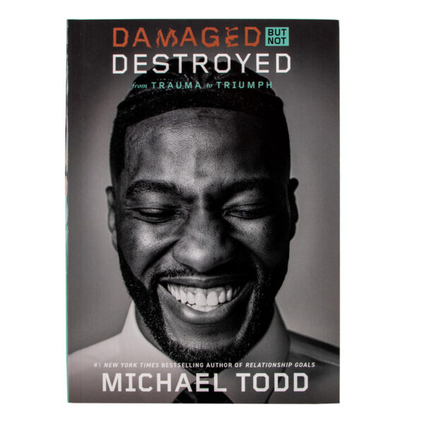 Damaged But Not Destroyed: From Trauma To Triumph (Paperback) - Image 16