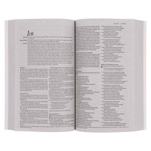 NLT Sunset Hills Paperback Outreach Bible - Image 9