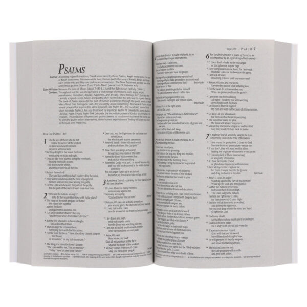 NLT Lion Paperback Outreach Bible - Image 5