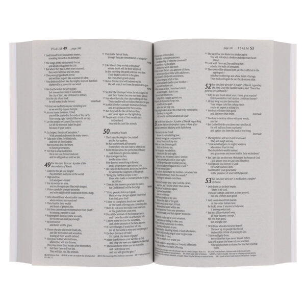 NLT Lion Paperback Outreach Bible - Image 6