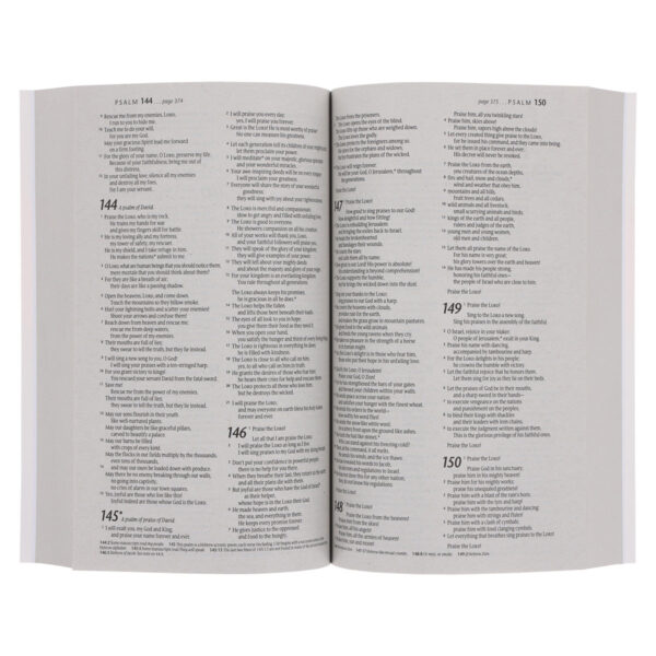 NLT Lion Paperback Outreach Bible - Image 7