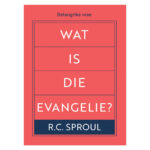 Wat Is die Evangelie? (Sagteband) - Image 5