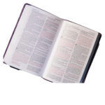 NKJV Deluxe Gift Bible Red Letter Burgundy (Comfort Print)(Imitation Leather) - Image 11