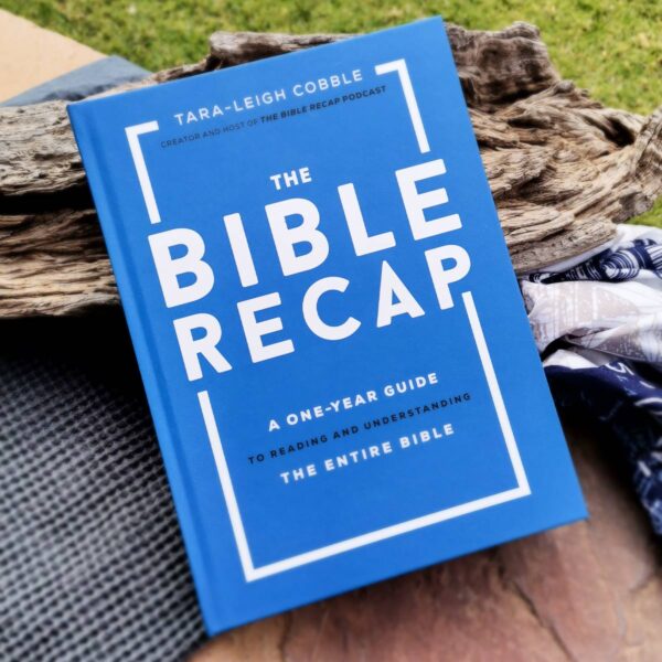 The Bible Recap: A One-Year Guide To Reading And Understanding The Entire Bible (Hardcover) - Image 8