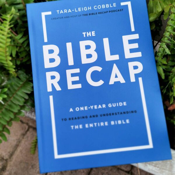 The Bible Recap: A One-Year Guide To Reading And Understanding The Entire Bible (Hardcover) - Image 10