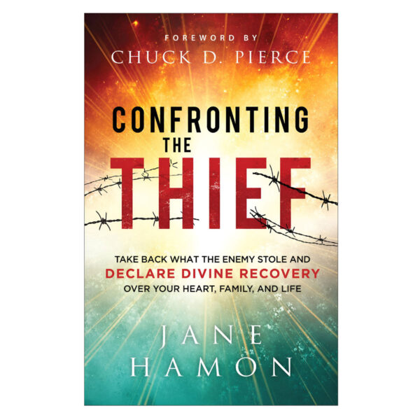 Confronting the Thief: Take Back What the Enemy Stole & Declare Divine Recovery PB - Image 5