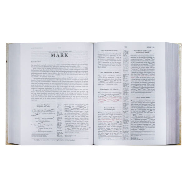 ESV Hebrew / Greek Key Word Study Bible (Hardcover) - Image 33