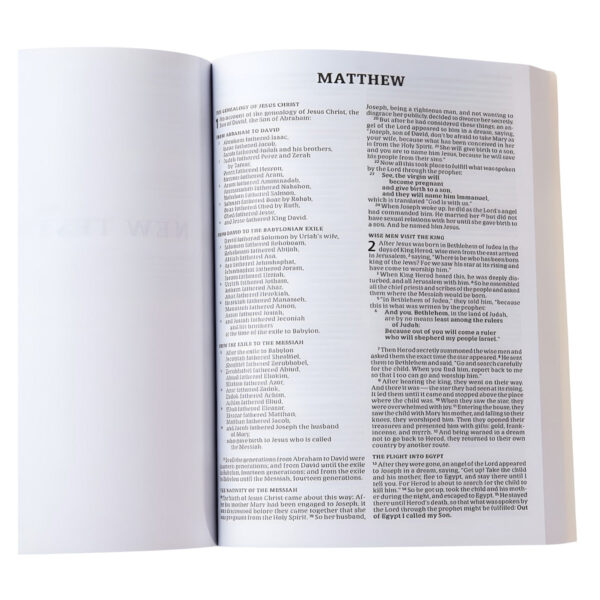 CSB Outreach Bible For Kids (Paperback) - Image 12