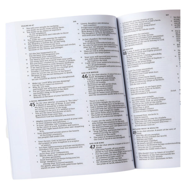 CSB Outreach Bible For Kids (Paperback) - Image 13