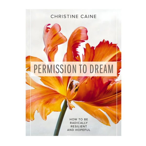 Permission to Dream: How to be Radically Resilient and Hopeful (Paperback) - Image 5
