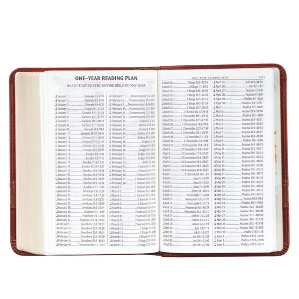 KJV Brown Faux Leather Compact Bible Large Print Red Letter - Image 32