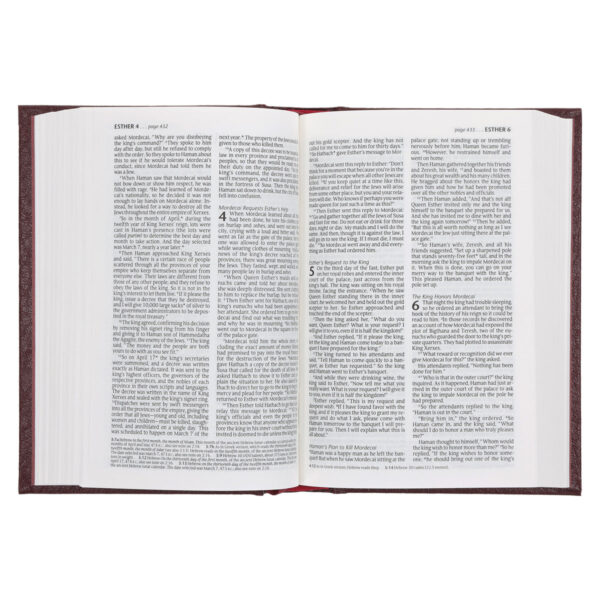 NLT Compact Bible Burgundy Hardcover - Image 4