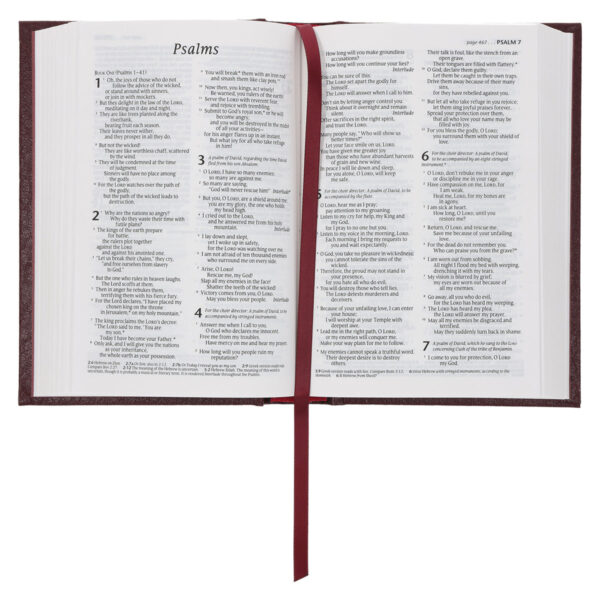NLT Compact Bible Burgundy Hardcover - Image 5