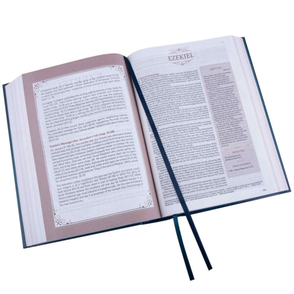 NLT The Spiritual Growth Bible Teal Hardcover - Image 31