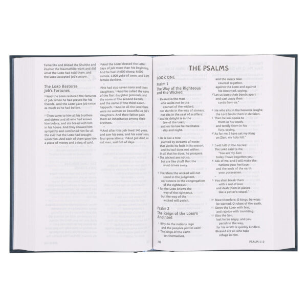 ESV Hardcover Dyslexia-Friendly Edition Holy Bible - Image 19