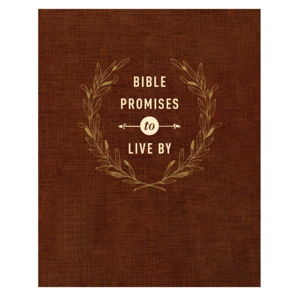 Bible Promises To Live By (Imitation Leather) - Image 1