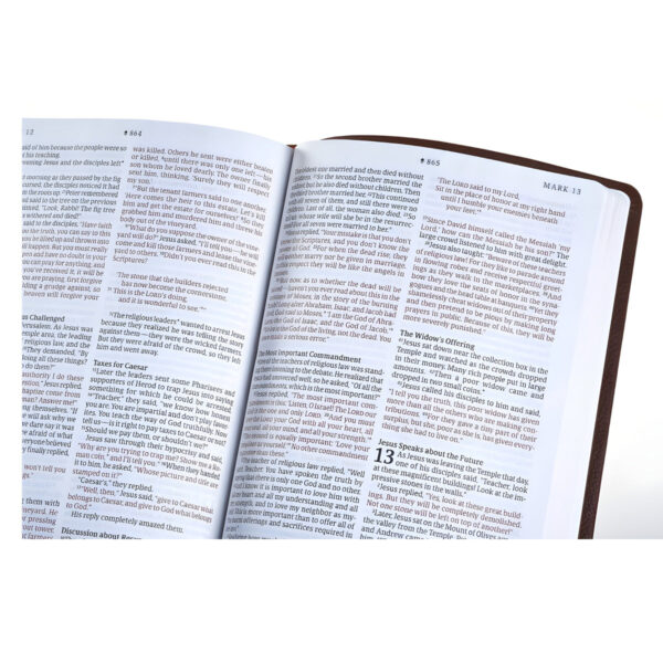 NLT Filament Thinline Reference Bible Red Letter Rustic Brown (Imitation Leather) - Image 24