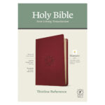 NLT Filament Thinline Reference Bible Red Letter Aurora Cranberry (Imitation Leather) - Image 25