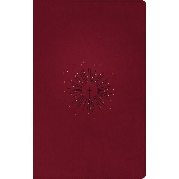 NLT Filament Thinline Reference Bible Red Letter Aurora Cranberry (Imitation Leather) - Image 21