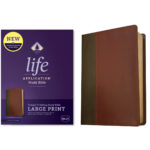 NKJV Life Application Study Bible, Third Ed, Large Print, Red Letter, Mahogany (Immitation Leather) - Image 24