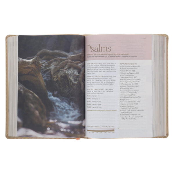 NLT Soft Gold Imitation Leather Filament Enabled Every Woman’s Bible - Image 18