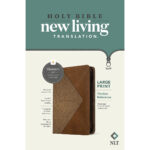 NLT Filament Thinline Reference Bible, Large Print, Stone & Camel With Zip (Imitation Leather) - Image 19
