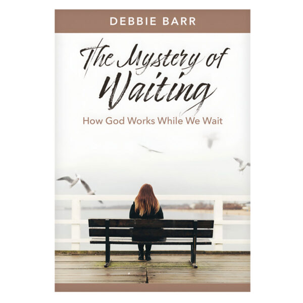 The Mystery of Waiting: How God Works While We Wait - Hope and Healing (Paperback) - Image 5