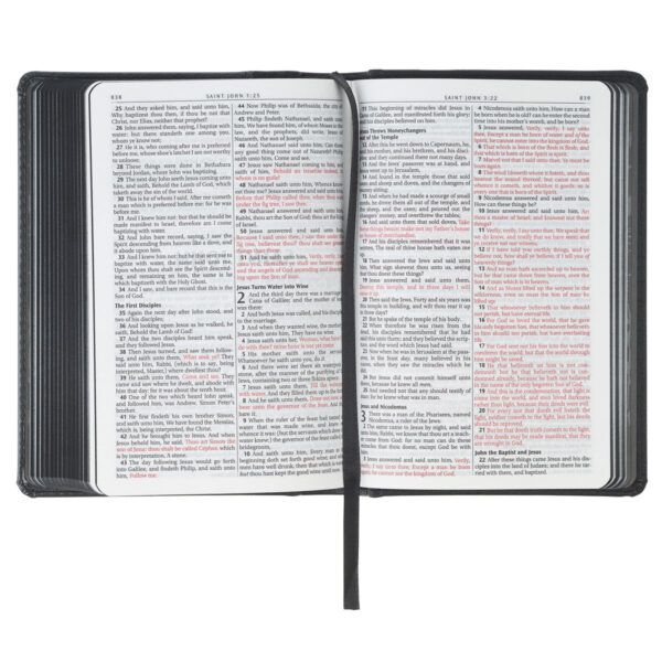 KJV Grey Lion Faux Leather Compact Bible - Image 5