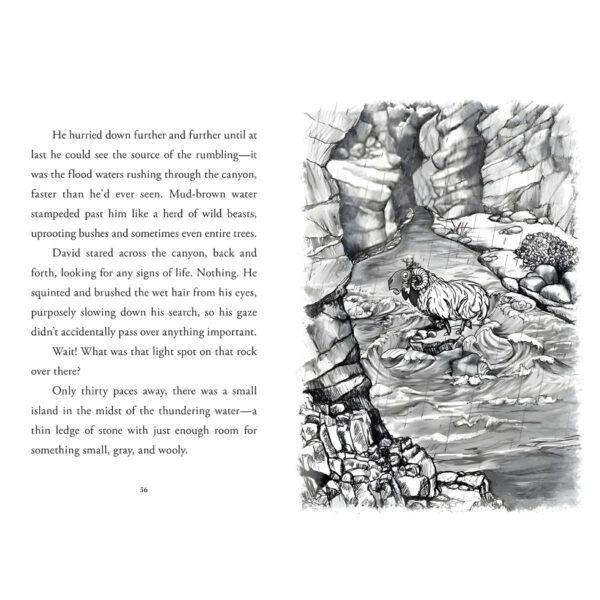 Shepherd - 2 Young David (Paperback) - Image 7