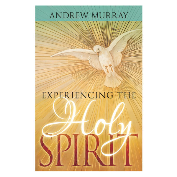 Experiencing the Holy Spirit (Paperback) - Image 5