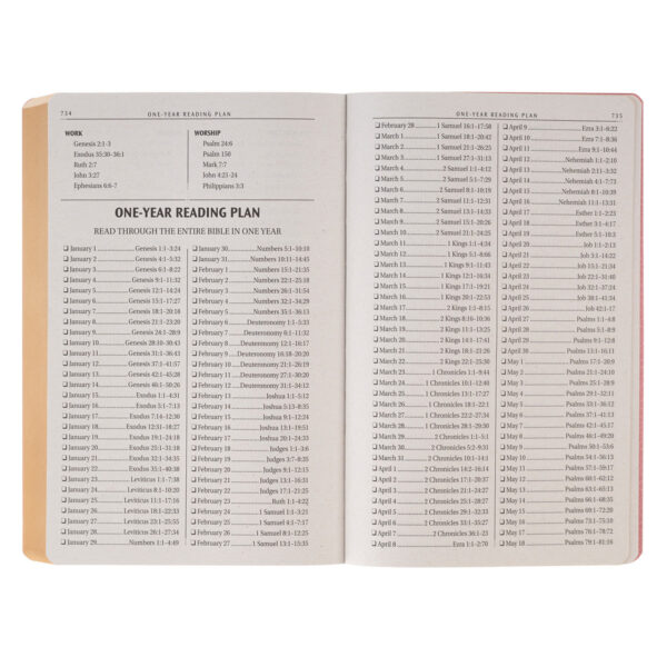 KJV Pink Faux Leather Flexcover Gift Edition Bible - Image 5