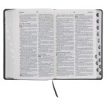 Afrikaans 1933/1953 Vertaling Steenkool Egte Leer Bybel - Image 3