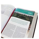 NKJV Study Bible Red Letter Complete Full Color (Comfort Print)(Hardcover) - Image 30