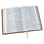 Afrikaans 1933/1953 Vertaling Karamel Kunsleer Verklarende Studiebybel - Image 20