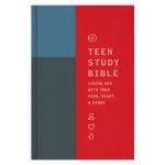 ESV Teen Study Bible Cliffside (Hardcover)