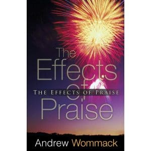 The Effects Of Praise (Paperback)