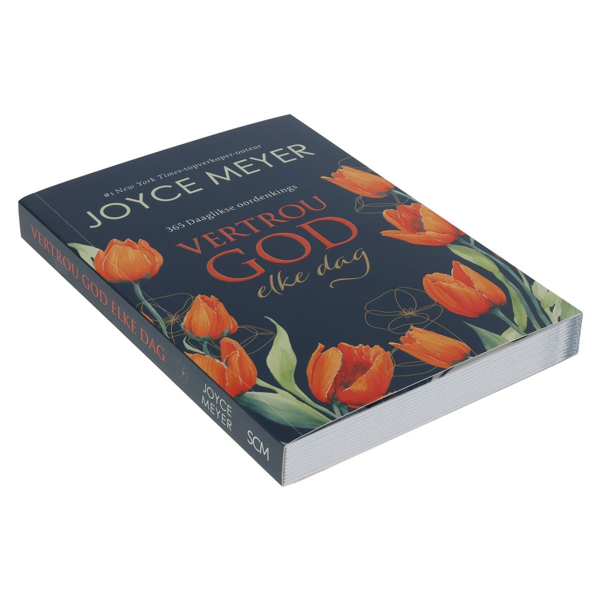 9781776477234_feature1 Vertrou God Elke Dag (Sagteband) - Image 1